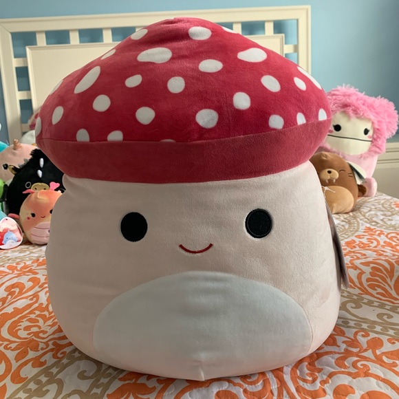 the Mushroom Squishmallow 16